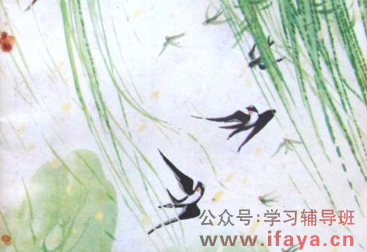 小学语文知识(文学、百科)集锦